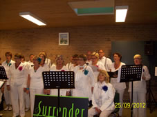 t''Veld 2012 (12).jpg